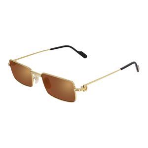 NWT CARTIER CT0501S 006 Sunglasses